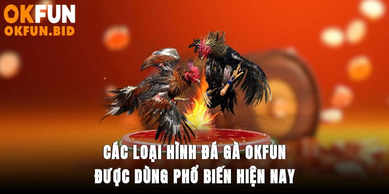 Các loại hình đá gà OKFUN được dùng phổ biến hiện nay