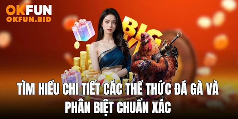 các thể thức đá gà okfun