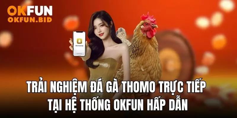 đá gà thomo okfun